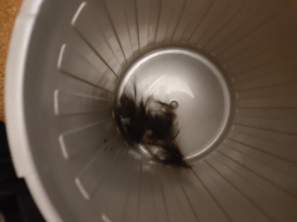 Haare in einem Mülleimer